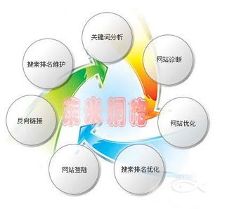 珠海网络推广服务指南 专业门户推广助力企业数字化增长